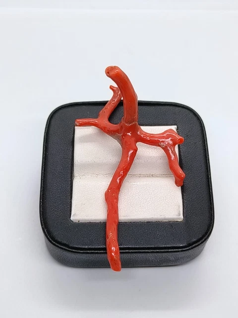 Branche de corail rouge italien, bâton de corail naturel non teint