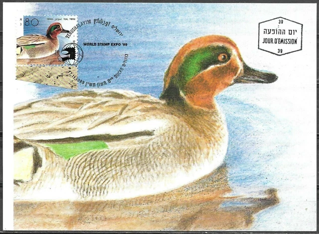 Israel 1989 Maximum Card Teal Ducks Of Israel