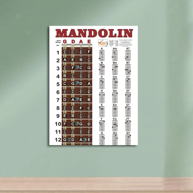 MANDOLIN CHORDS CHART,REFERENCE Guide Mandolin Poster,Fingering Diagram ...