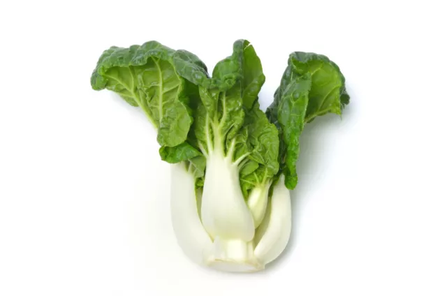 Vegetable - Pak Choi - Canton Dwarf - 200 Seeds - Economy