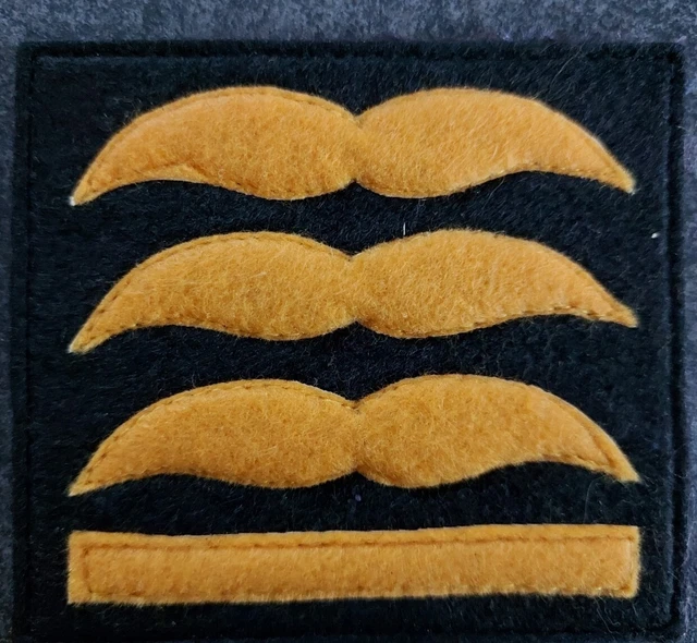 WW2 GERMAN LUFTWAFFE Generals Parachute Smock Rank Insignia Cloth Badge ...