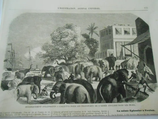 1858 engraving - Elephant landing in Calcutta India