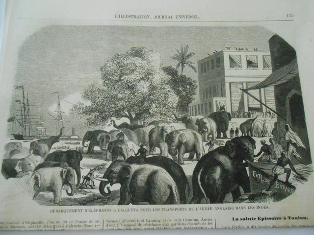 Gravure 1858 - Débarquement des Eléphant à Calcutta Indes