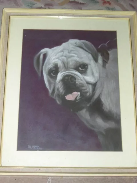 Very Large Antique Bulldog Dog Pastel Painting By Max Pilone 1959