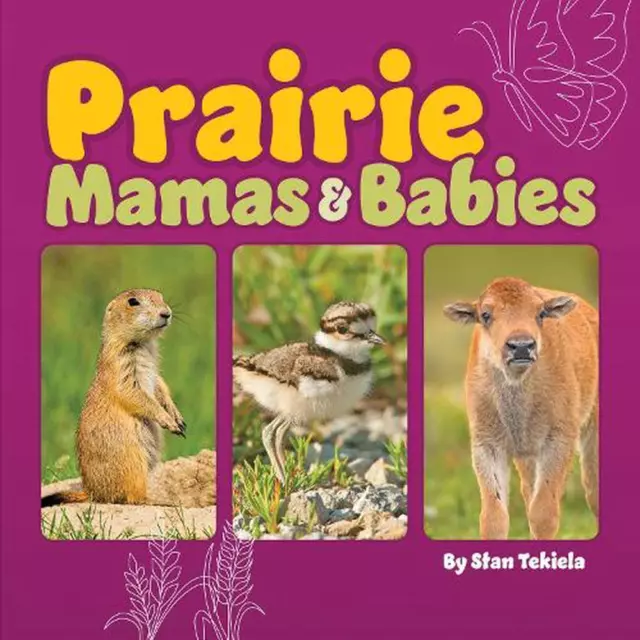 Prairie Mamas and Babies by Stan Tekiela (English) Board Book Book