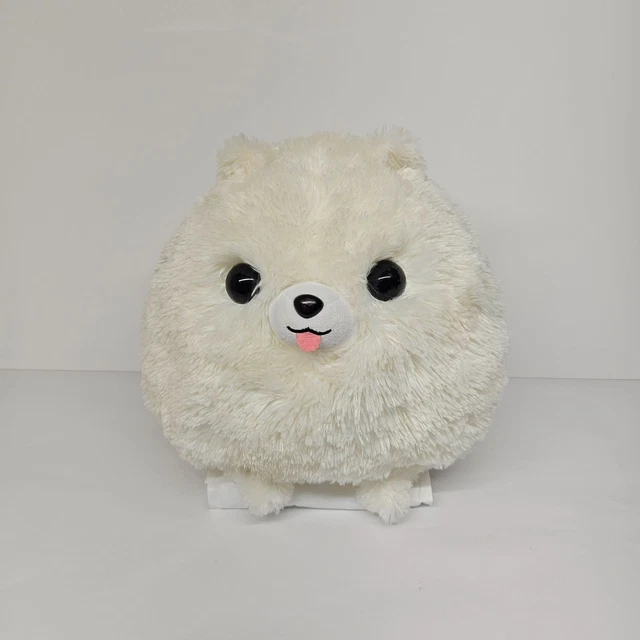 Amuse pomeranian shop