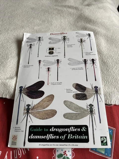 GUIDE TO DRAGONFLIES Abd Damselflies Of Great Britain EUR 1,17 ...