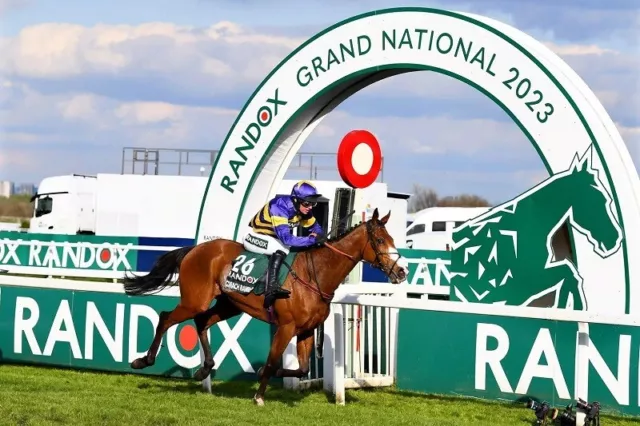 SALE CORACH RAMBLER DEREK FOX HORSE RACING GRAND NATIONAL WINNER 2023 PHOTO 12x8