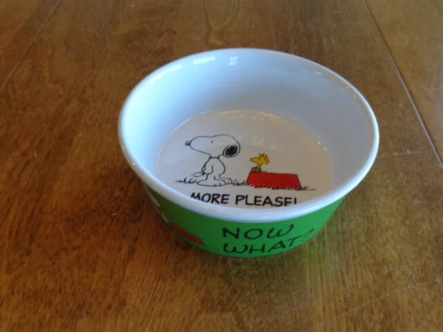 Peanuts Snoopy Pet Food Bowl Dish Gibson