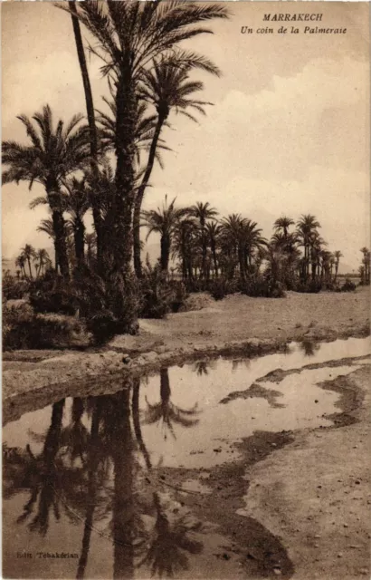 CPA Maroc Marrakech - Un coin de la Palmeraie (281146)