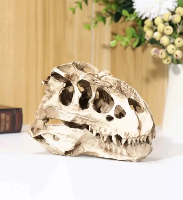 Dinosaur T-Rex Skull Resin Fossil Model Replica decoration craft (16 x 8.5cm)