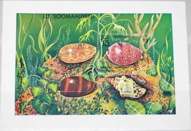 SOMALIA 1984 Block 14 S/S 534 Schnecken Sea Shells Muscheln Marine Fauna MNH