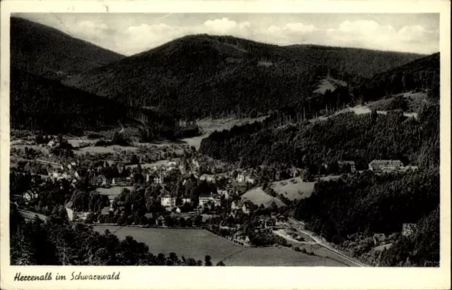 Herrenalb Schwarzwald alte Postkarte 1957 gelaufen Panorama Gesamtansicht Wald