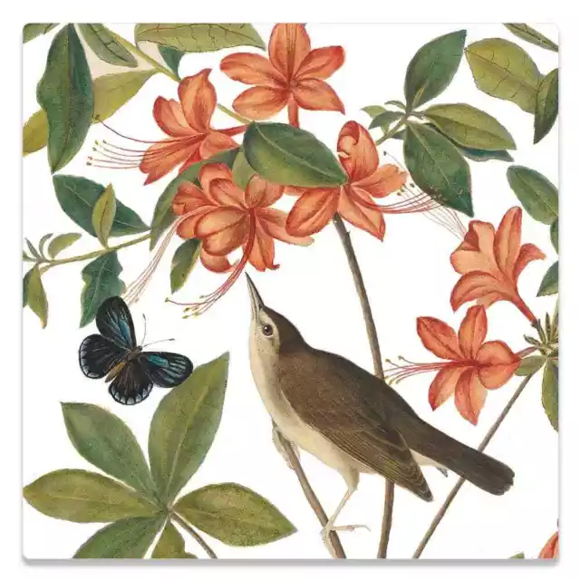 Audubon "Swainson’s Warbler" Ceramic Trivet