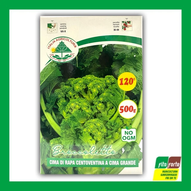 Friarielli o cime di rapa spadellate piccanti