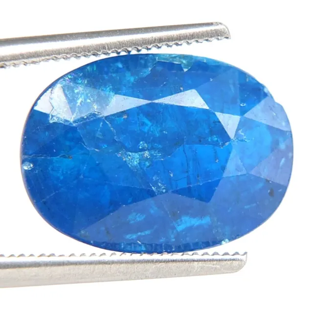 SHOLA Echt 6,77 Ct Natürlicher Selten Blau Apatit Top Farbe aus Brasilien
