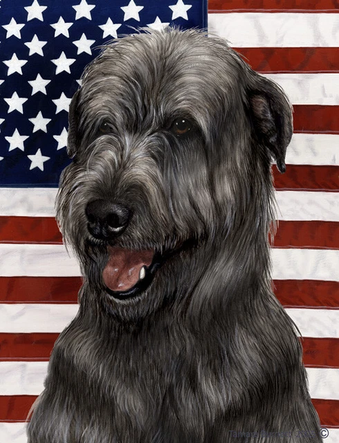 Patriotic (D2) House Flag - Black Irish Wolfhound 32164