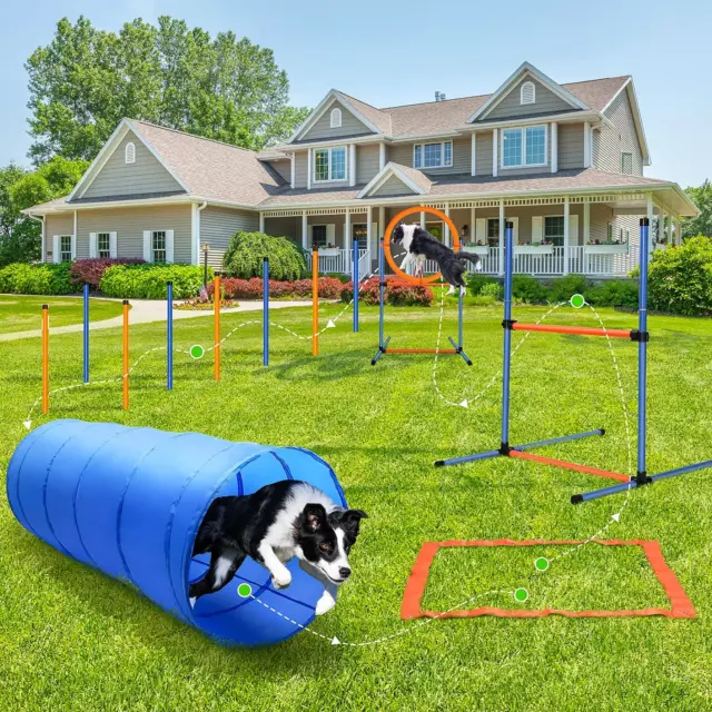 Agility Dog Attrezzatura, 60pz,  Tunnel per Cani, Ostacoli, Slalom, Anello 2