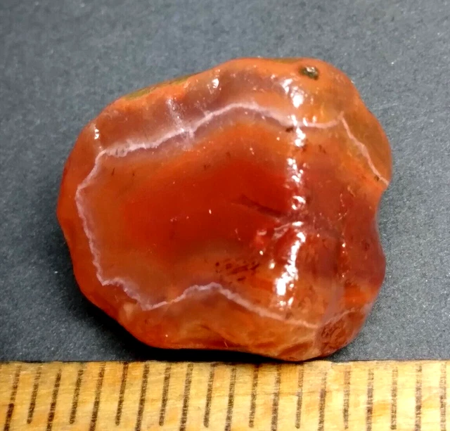 Lake Superior Agate 0.32 oz 'STUNNING GEM' Rough Minnesota Gemstone - upnorth