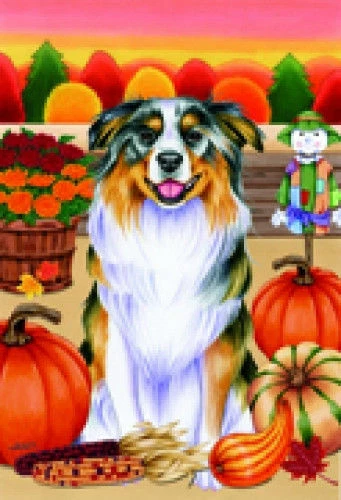Autumn (TP) Garden Flag - Australian Shepherd 67074