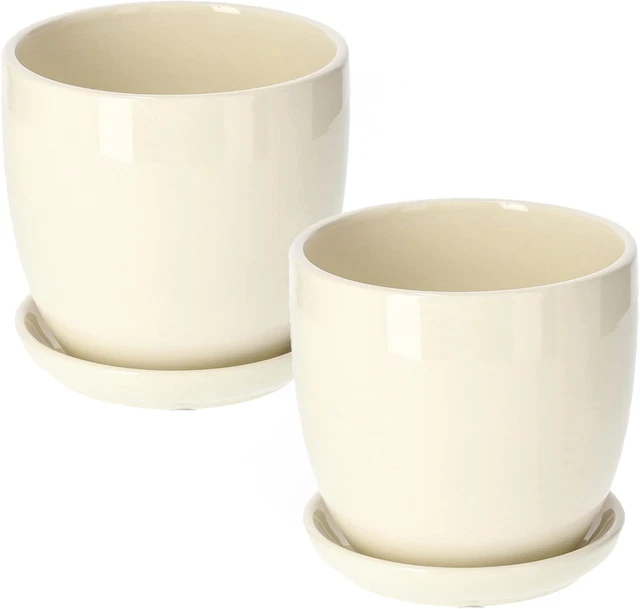 Set di 3 vasi da parete in ceramica bianca, piante grasse, vaso da appendere, fioriere di cactus, portafiori da parete, piccoli vasi da fiori in