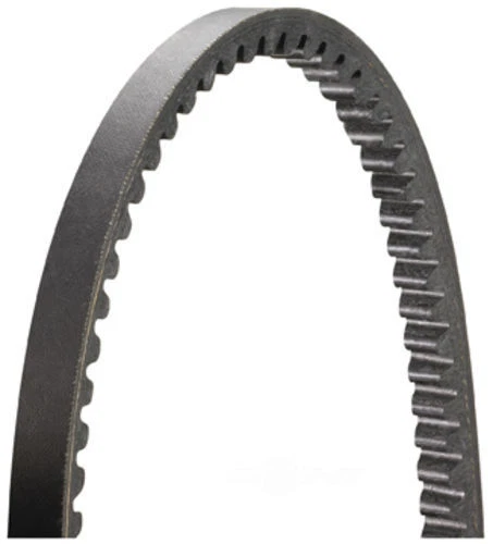 Accessory Drive Belt-GAS Drive-Rite 15485DR