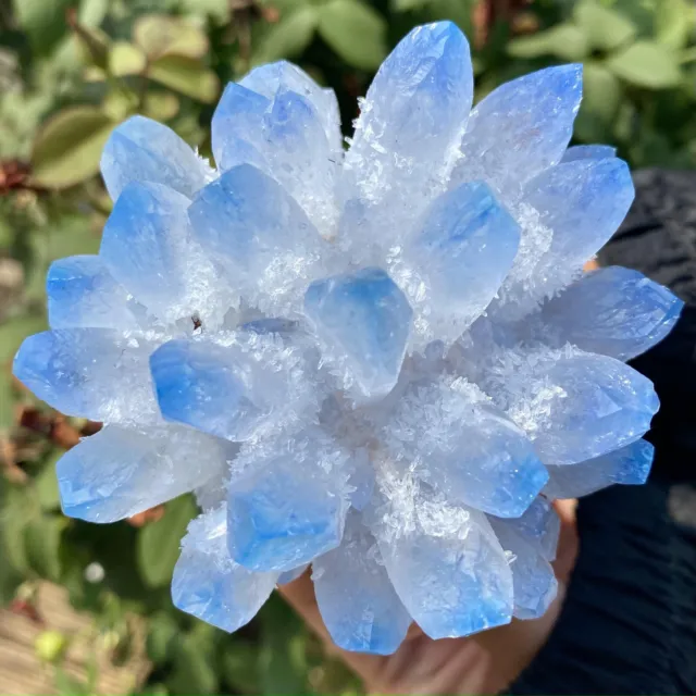 444G New Find sky blue Phantom Quartz Crystal Cluster Mineral Specimen Healing