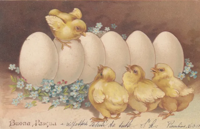 Cartolina Auguri-Feste Buona Pasqua Pulcini Formato Piccolo Viaggiata 1914