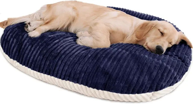 Patas Lague Reversible Orthopedic Dog Bed for Small Dogs, Shredded Memory Foam S