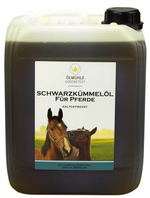 Schwarzkümmelöl für Pferde 5 Liter Kanister | direkt aus der Ölmühle Godenstedt