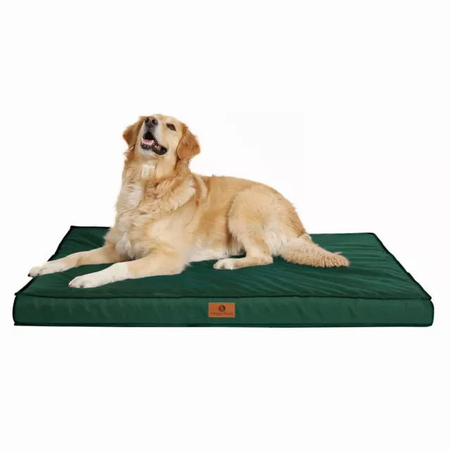 Tail Stories Green Dog Bed Orthopedic Memory Foam Pet Bed 36x27'' for Large Dog