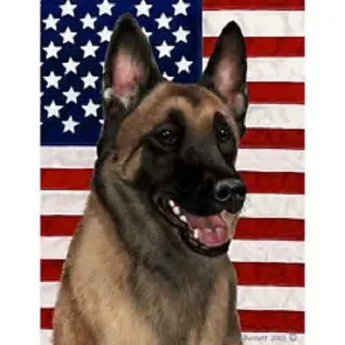 Patriotic (D2) Garden Flag - Belgian Malinois 322511