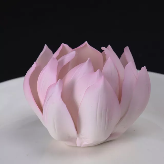 Porta Incenso Di Loto Yoga Decorativo Porcellana Cenere Ceramica