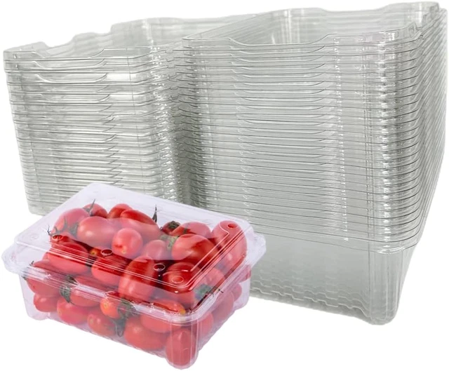 20 Pack Clear Plastic Berry Clamshell Vented Container for Blueberry, Ch