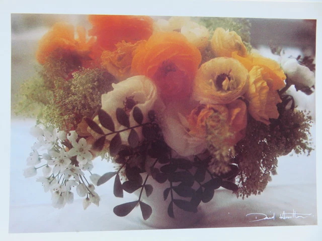 CARTE POSTALE DOUBLE DAVID HAMILTON Postcard Femme Woman Plaisirs d'Eté EUR 6,90 - FR