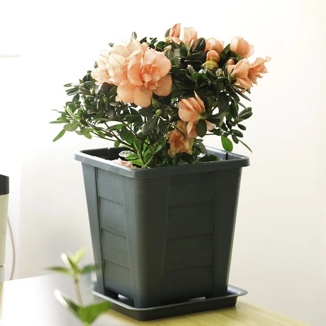 Plastique Accueil Pot de Plante Planteur Pots de fleurs Boîte succulente 7