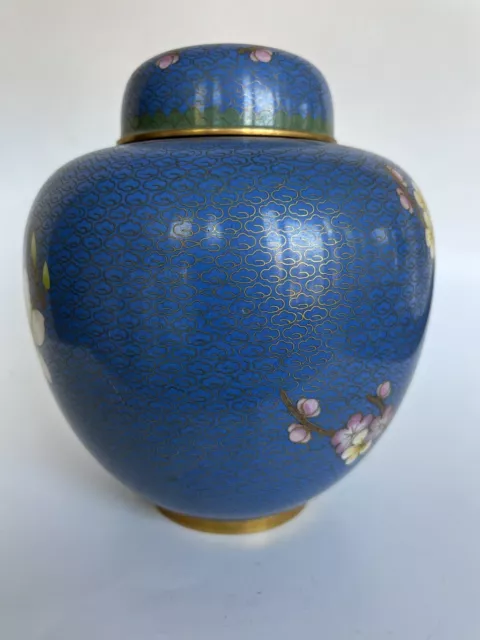 8" Vtg Old Chinese Turquoise Blue Cloisonne Enamel Birds Blossom Ginger Jar 3