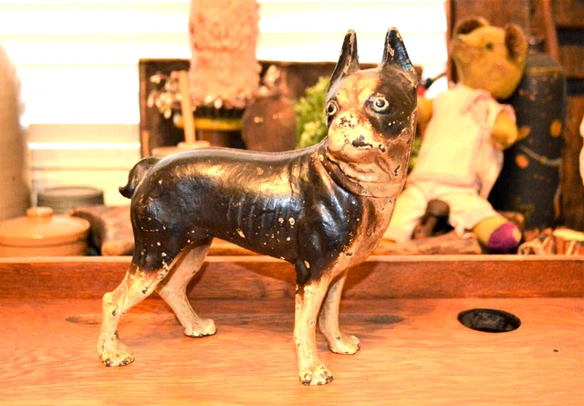 ANTIQUE HUBLEY BLACK Brown Cream Cast Iron Boston Terrier Dog