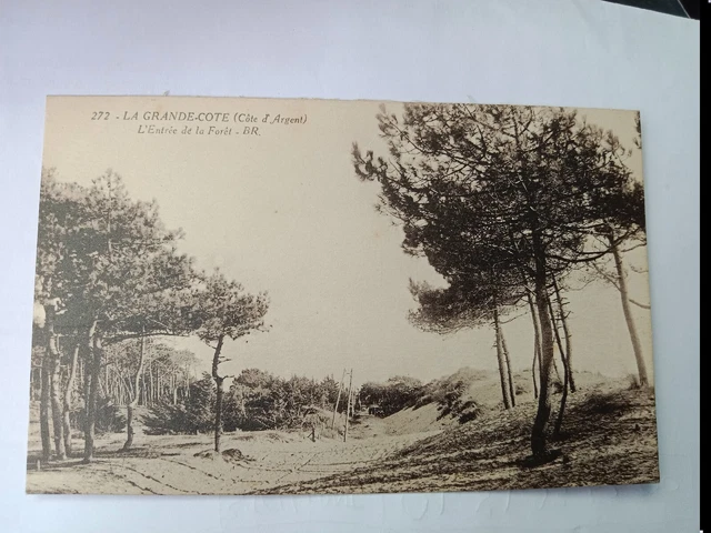 CPA Gannat, Entrée de la Grande Rue 1908 | Australia