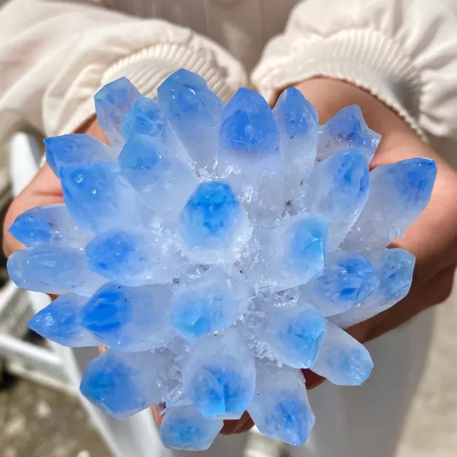 320G New Find BLUE Phantom Quartz Crystal Cluster Mineral Specimen Healing-AG