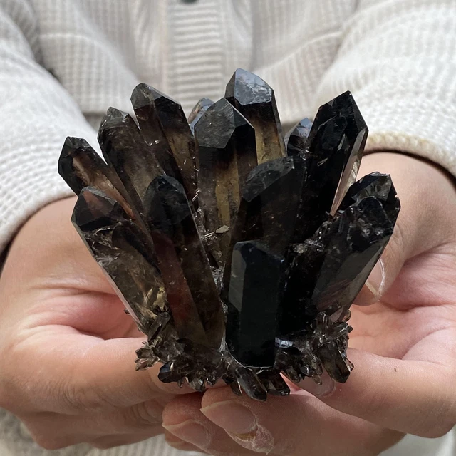 266G  New Find black Phantom Quartz Crystal Cluster Mineral Specimen Healing