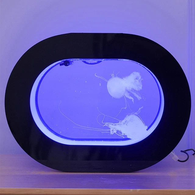 Oval Desktop Jellyfish Aquarium Tank Kit for Real Live Jellyfish Fish Tank 2