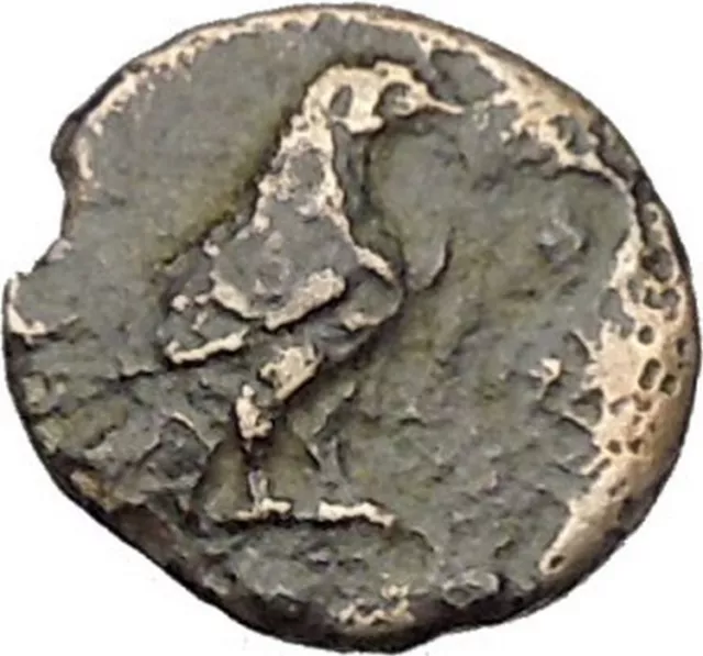 Kyme Cyme in Asia Minor 350BC  Ancient Greek Coin Eagle Vase  i46117