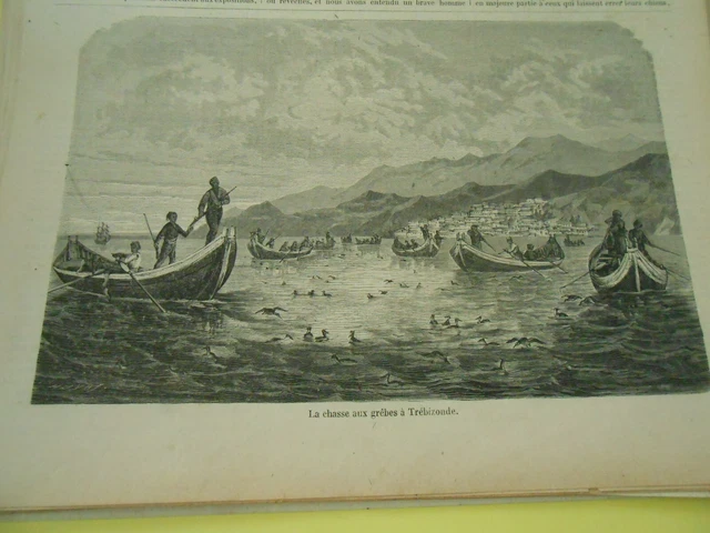 1869 engraving - The Hunt for Grêbes in Trebizond