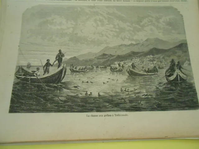 Gravure 1869 - La Chasse aux grêbes à Trébizonde