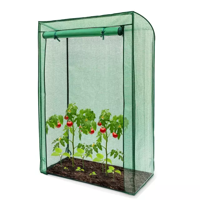 Outdoor Garden Tomato Plant Grow Green House Greenhouse Reinforced Frame & Cover