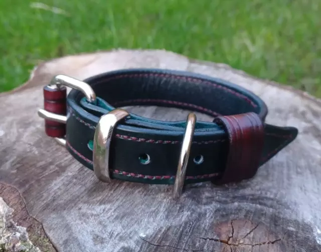 Green Classic Dog Collar real leather handmade in UK small breeds