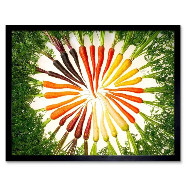 Foto Karotte Gemüse Lebensmittel Kreis Wurzel 12X16 Zoll gerahmter Kunstdruck