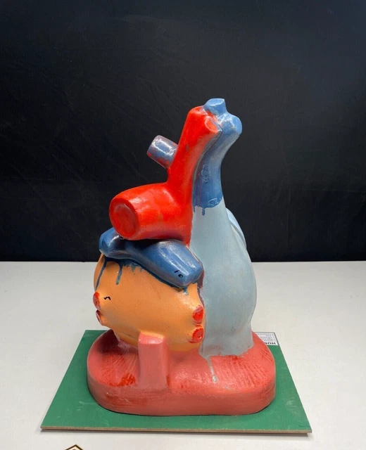 3D Heart Model 2 Parts XL Measure on Table
