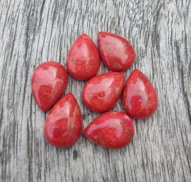 Natural Sponge Coral Pear Shape Cabochon Flat Back Calibrated Loose Gemstones